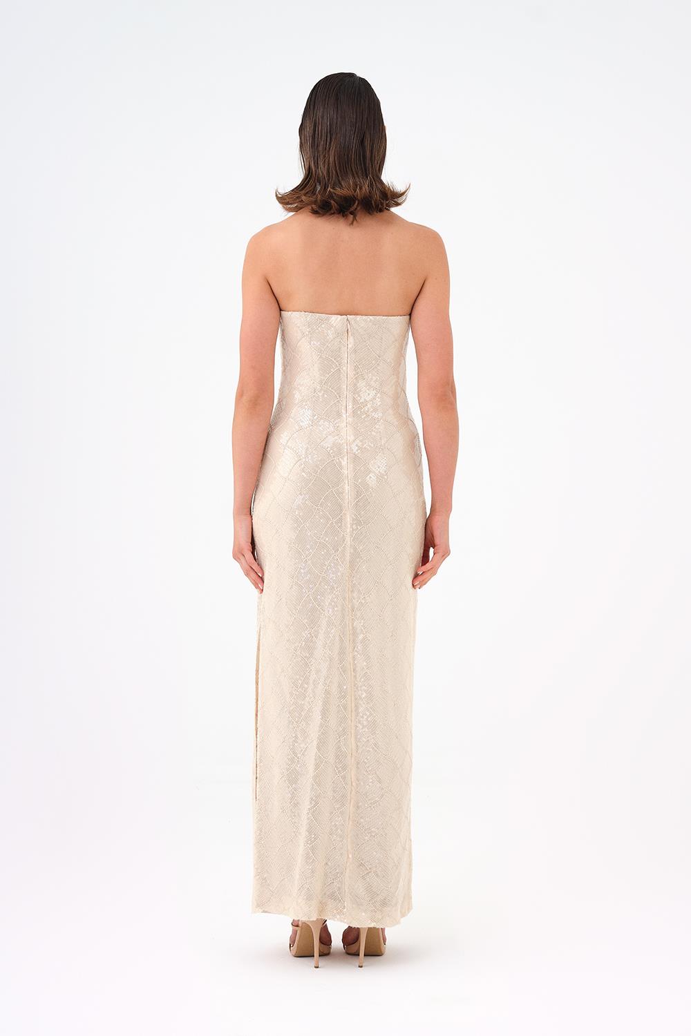 Baklava Desen Payetli Straplez Uzun Abiye Elbise - 9163C