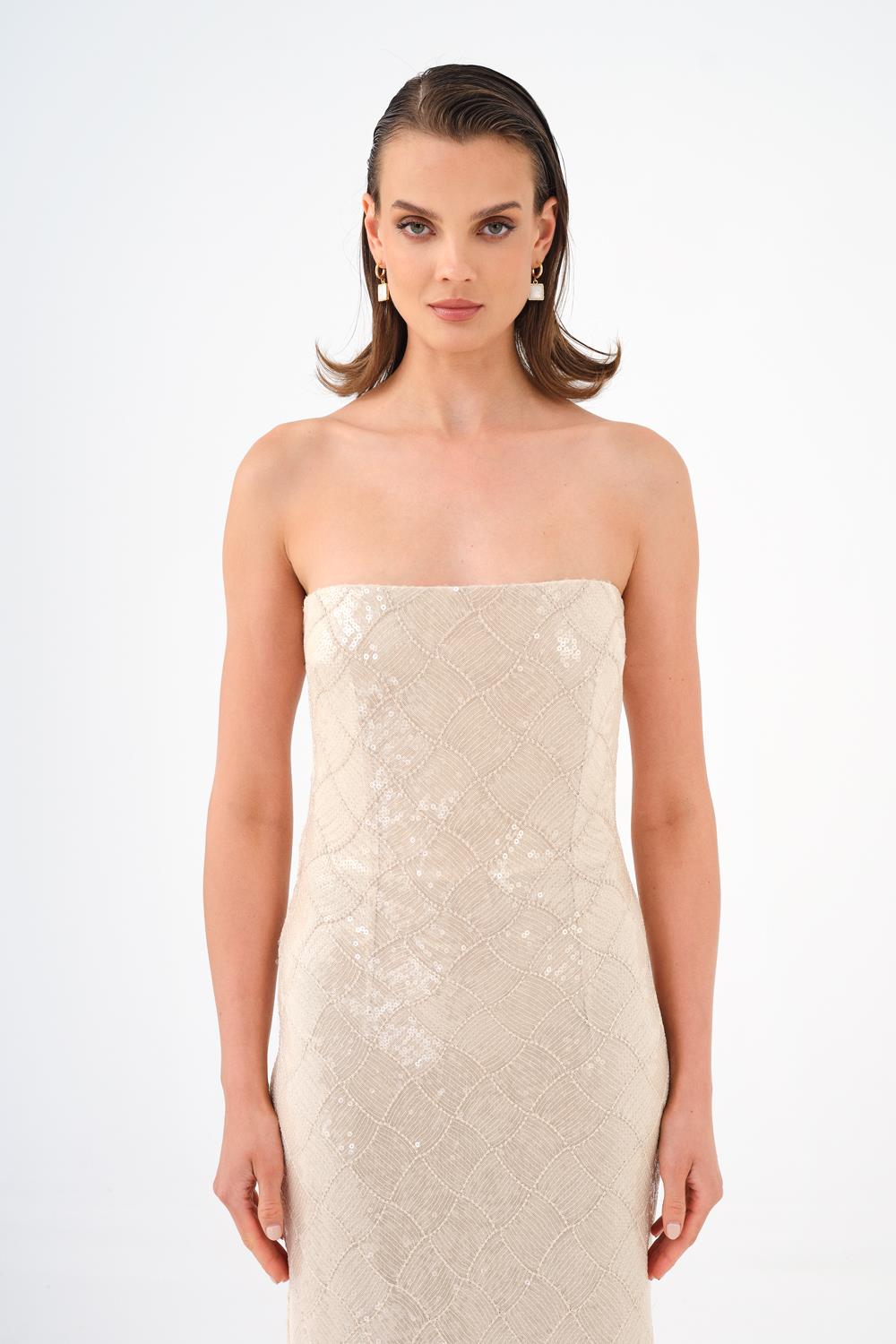 Baklava Desen Payetli Straplez Uzun Abiye Elbise - 9163C